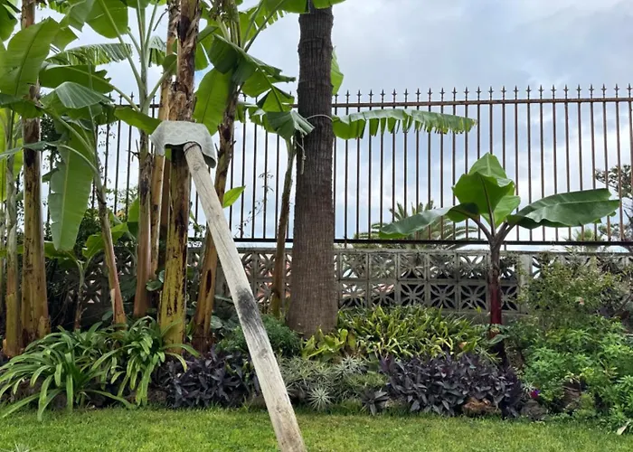 Tenerife North Escape * La Matanza De Acentejo